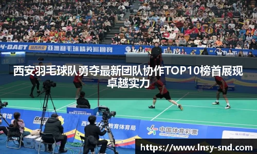 西安羽毛球队勇夺最新团队协作TOP10榜首展现卓越实力